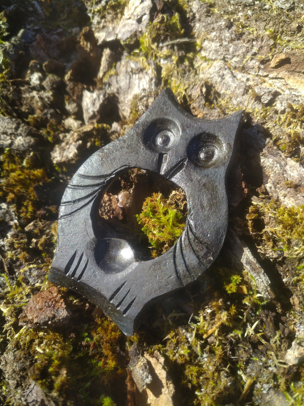 Wise Owl Bottle openers